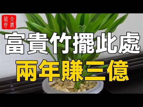 杜鵑風水|【杜鵑 風水】杜鵑招財、避邪！養對位置，風水大加分！ – 葛鶴。